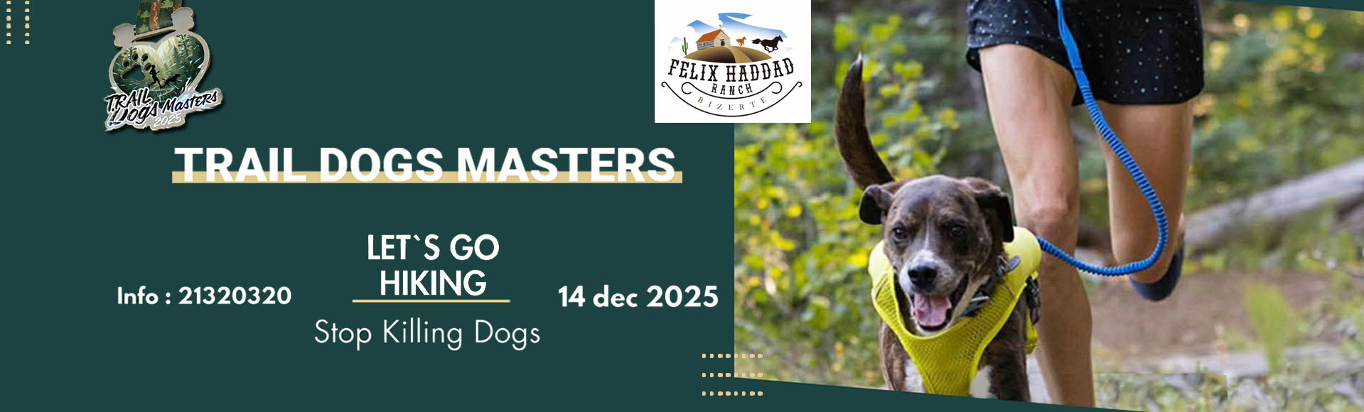 Trail  Dog Master